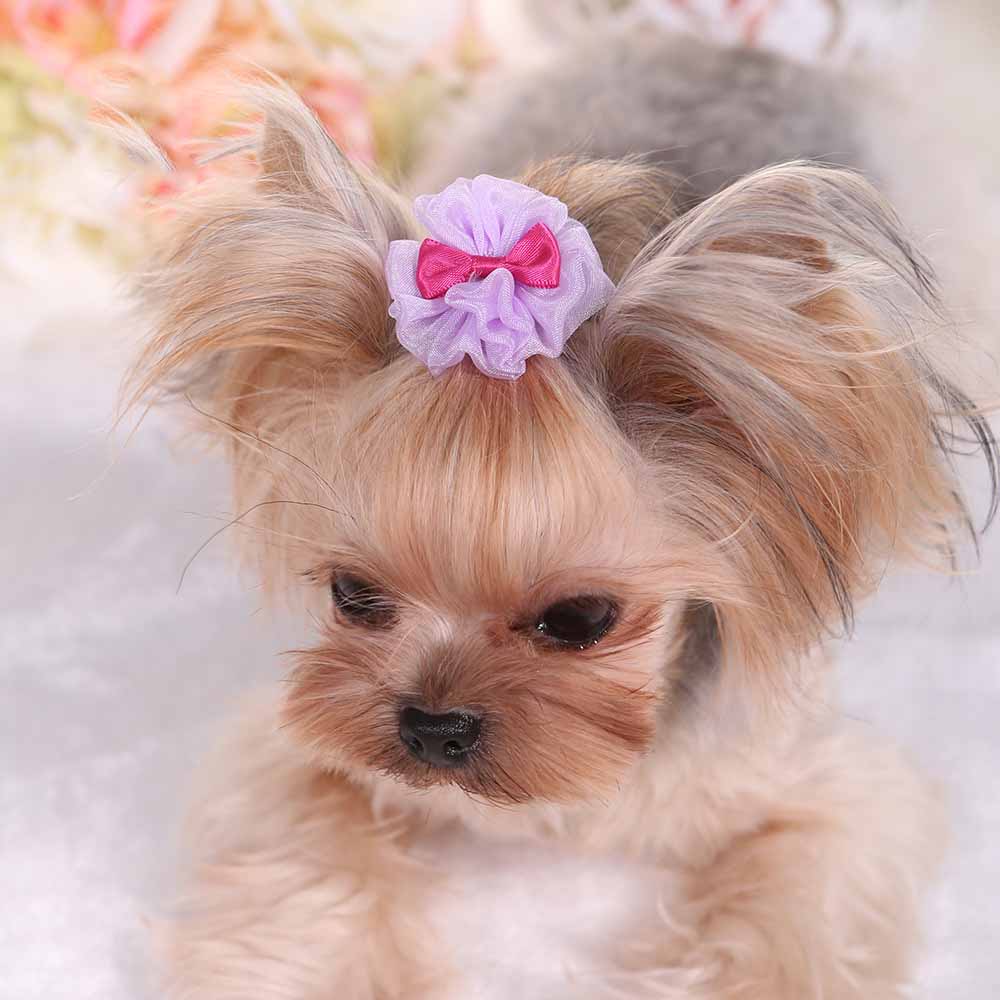 Luxe Honden Haarspeldje met Organza Strik