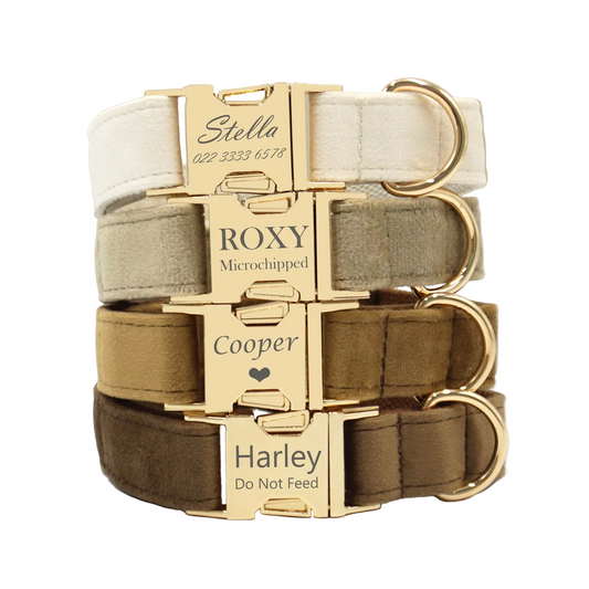 Velvet Halsband met Gegraveerde Gesp