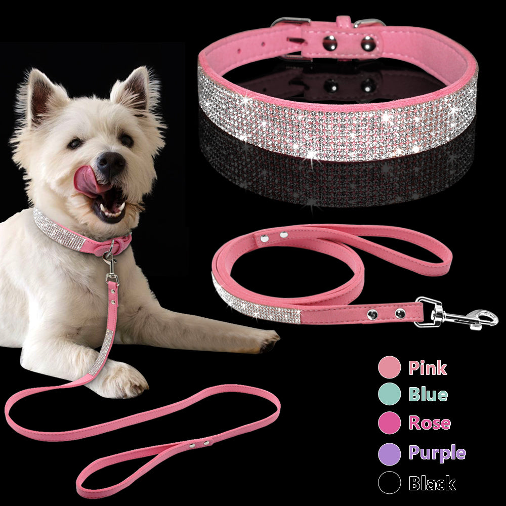 Design Halsband – Verstelbaar & Comfortabel