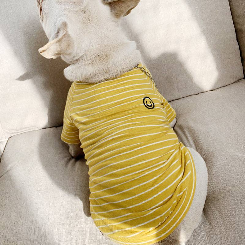 Matching Hond en Baas Outfit