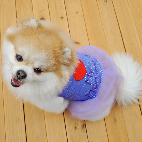 Luxe Geborduurde Puppy Kleding