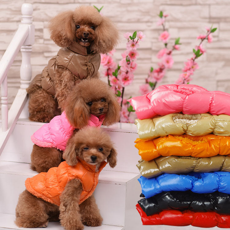 Katoenen Vest voor Kleine Honden & Katten
