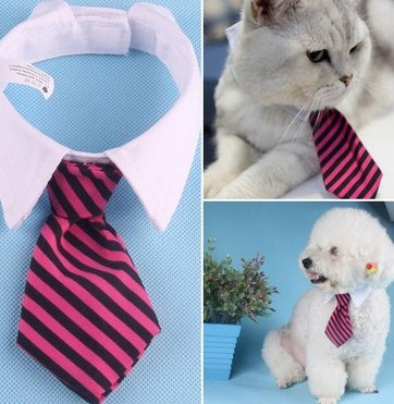 'Little Gentleman' Strikje voor Hond & Kat