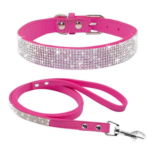 Design Halsband – Verstelbaar & Comfortabel