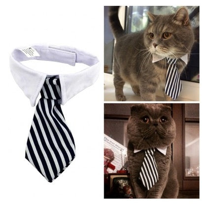 'Little Gentleman' Strikje voor Hond & Kat