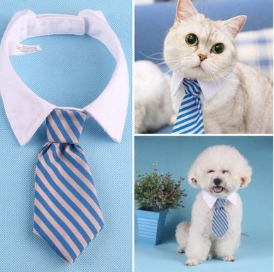'Little Gentleman' Strikje voor Hond & Kat