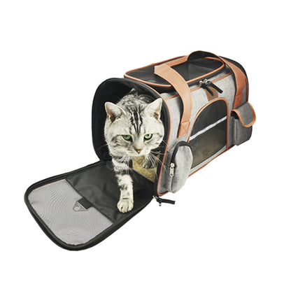 2-in-1 Hondenautostoel & Draagtas