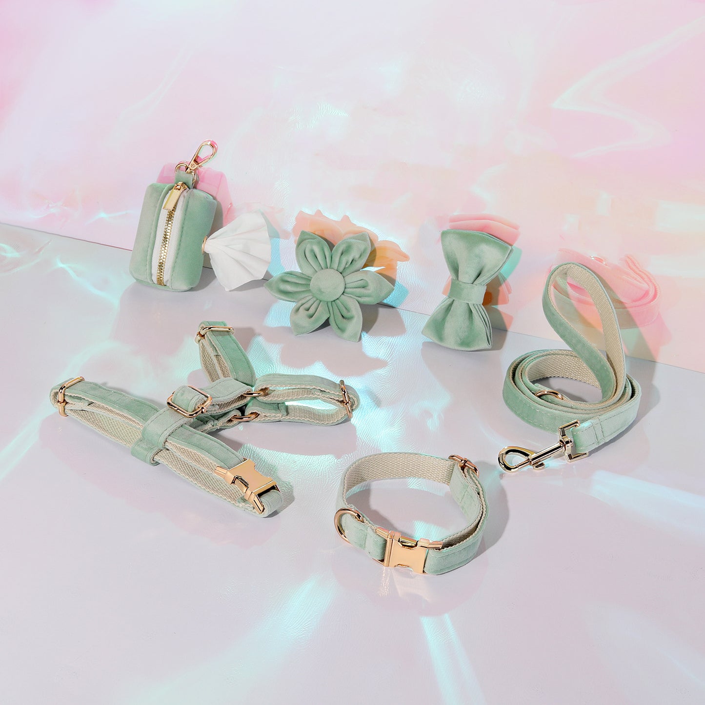 Hondentuigje met Lijn en Halsband Set - 6-delig - Inclusief Poepzakhouder & Strik