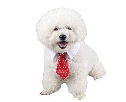 'Little Gentleman' Strikje voor Hond & Kat