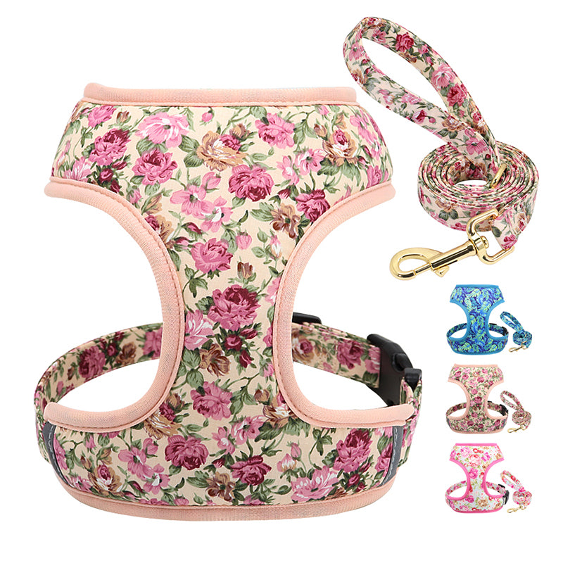 Luxe Touwlijn & Verstelbaar Puppy Harnas