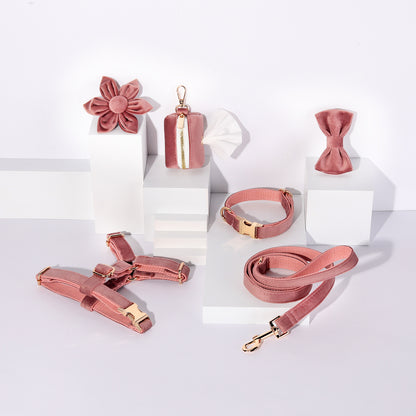 Hondentuigje met Lijn en Halsband Set - 6-delig - Inclusief Poepzakhouder & Strik