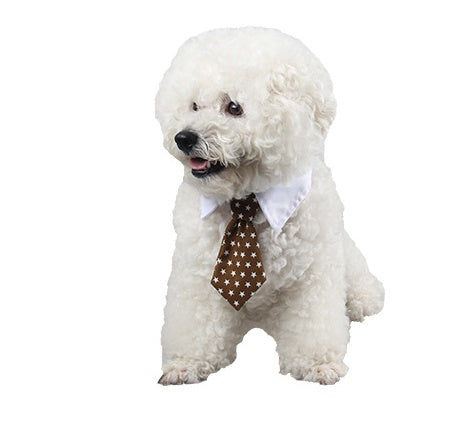 'Little Gentleman' Strikje voor Hond & Kat