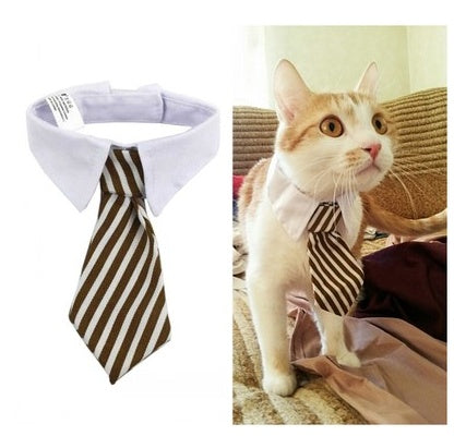 'Little Gentleman' Strikje voor Hond & Kat