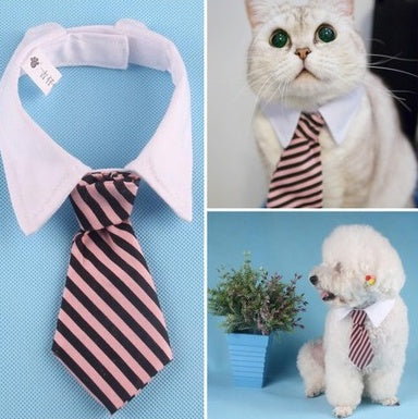 'Little Gentleman' Strikje voor Hond & Kat