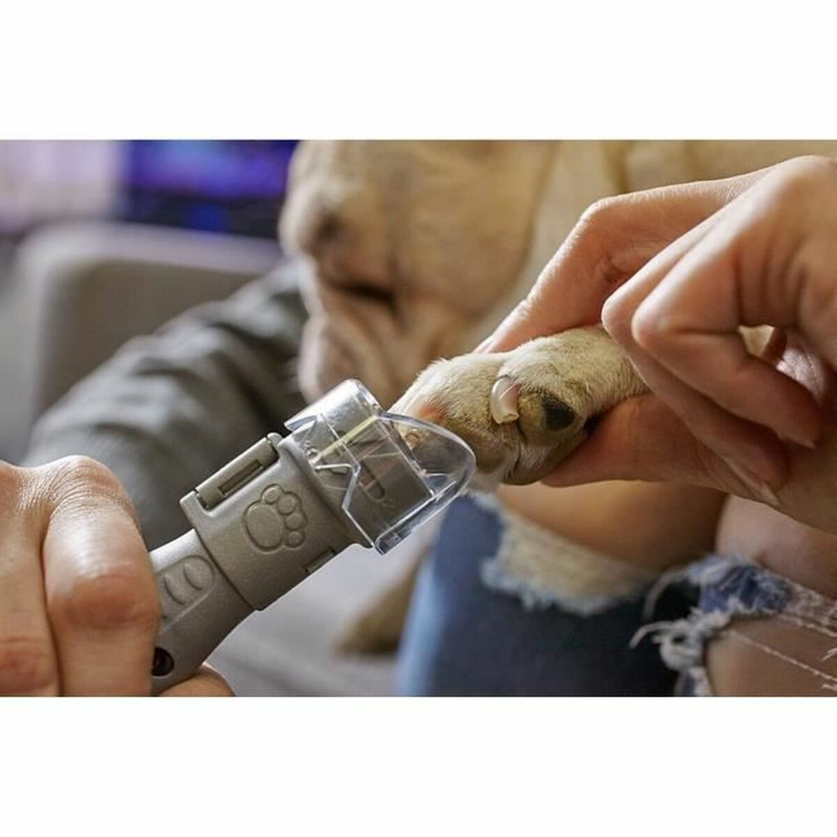 Electric Nail File for Pets Dremel 7020-PGK-3