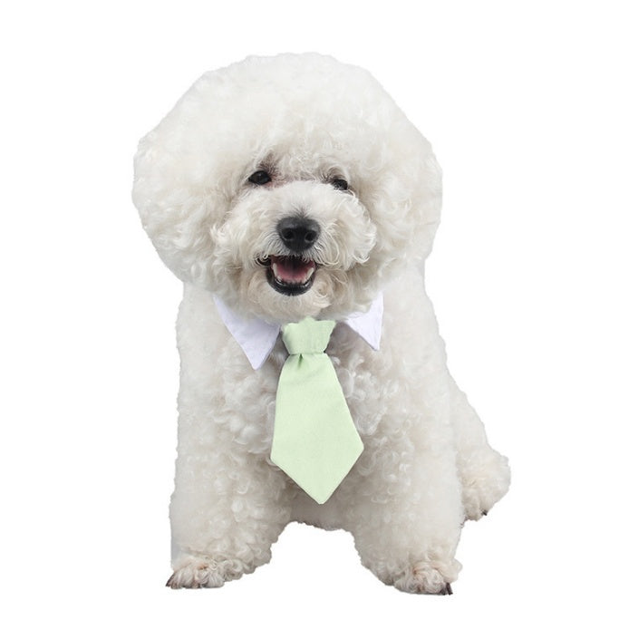 'Little Gentleman' Strikje voor Hond & Kat