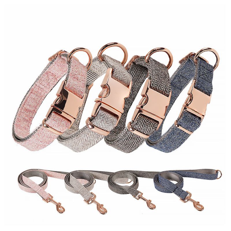 Harmony Set – Halsband & Leash
