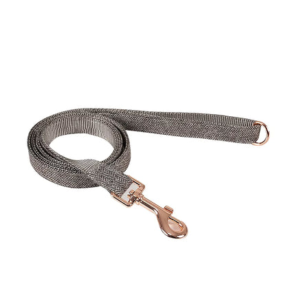 Harmony Set – Halsband & Leash