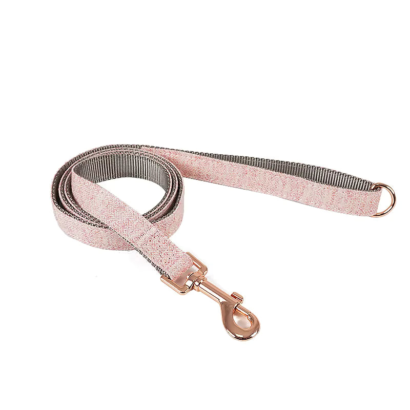 Harmony Set – Halsband & Leash
