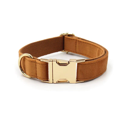 Velvet Halsband met Gegraveerde Gesp