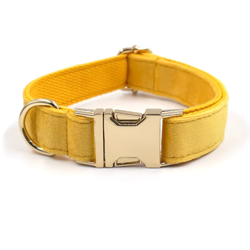 Velvet Halsband met Gegraveerde Gesp