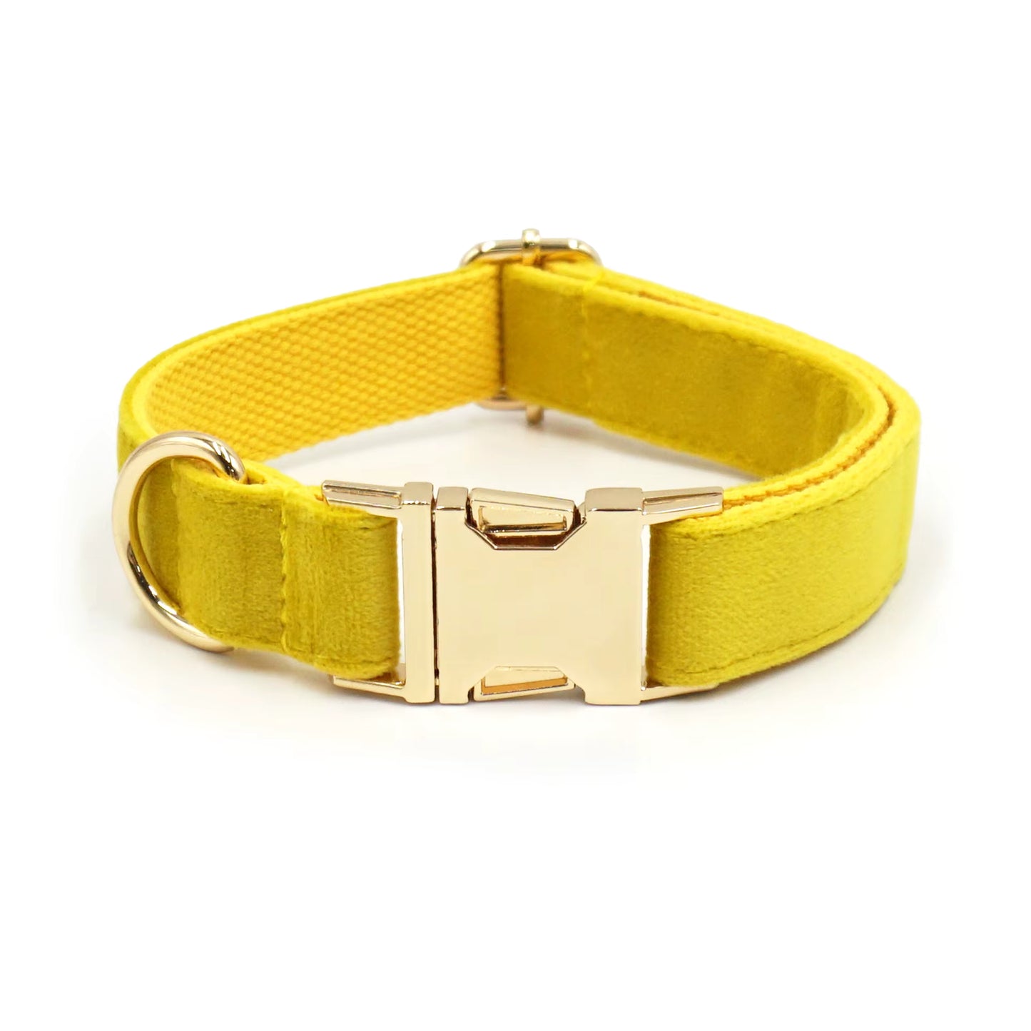 Velvet Halsband met Gegraveerde Gesp