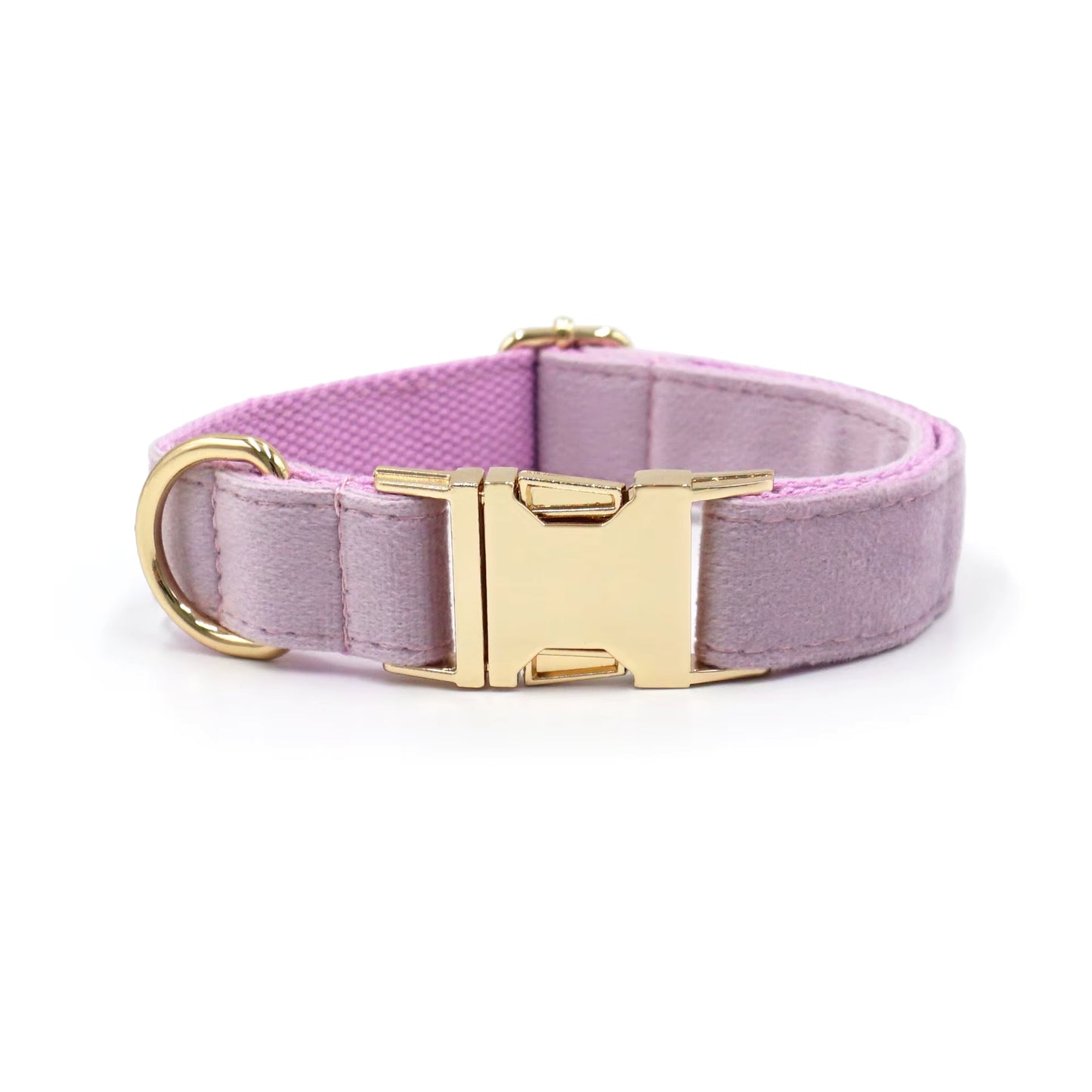 Velvet Halsband met Gegraveerde Gesp