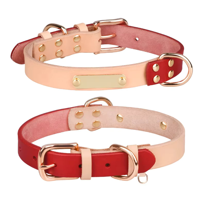 Leren Halsband met Naamplaat – Gepersonaliseerd