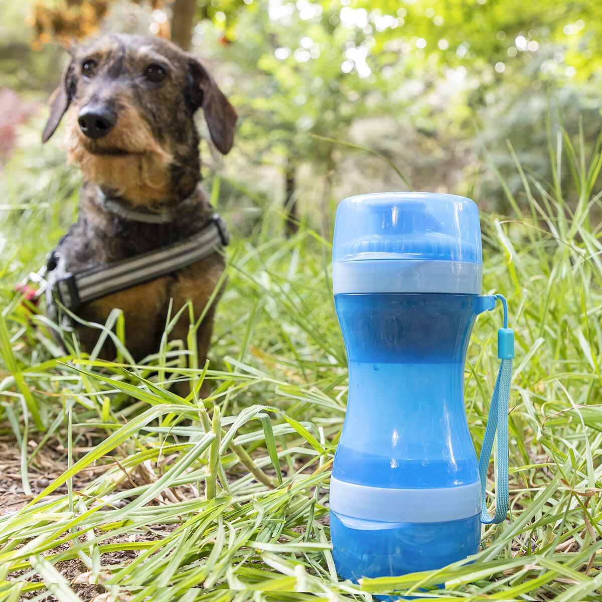 2-in-1 bottle with water and food containers for pets Pettap InnovaGoods-0