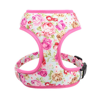 Luxe Touwlijn & Verstelbaar Puppy Harnas
