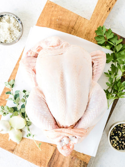 Safe Pet Toothpaste-2