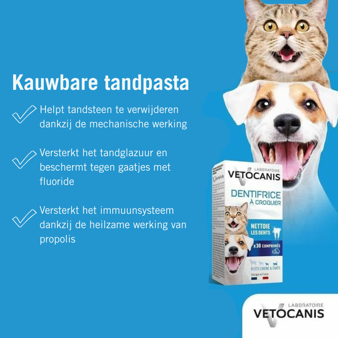 Tandpasta Vetocanis
