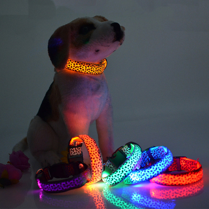 LED Halsband voor Hond & Kat – Verstelbaar, Lichtgevend & Veilig (Batterij of USB-Oplaadbaar)
