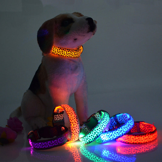 LED Halsband voor Hond & Kat – Verstelbaar, Lichtgevend & Veilig (Batterij of USB-Oplaadbaar)