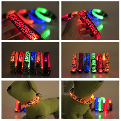 LED Halsband voor Hond & Kat – Verstelbaar, Lichtgevend & Veilig (Batterij of USB-Oplaadbaar)