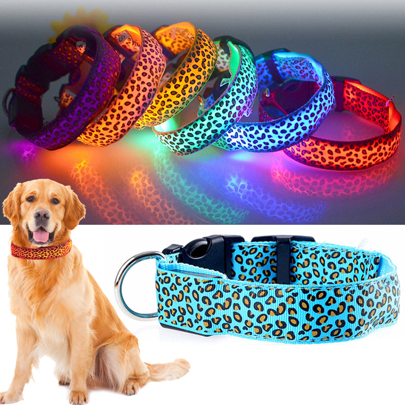 LED Halsband voor Hond & Kat – Verstelbaar, Lichtgevend & Veilig (Batterij of USB-Oplaadbaar)