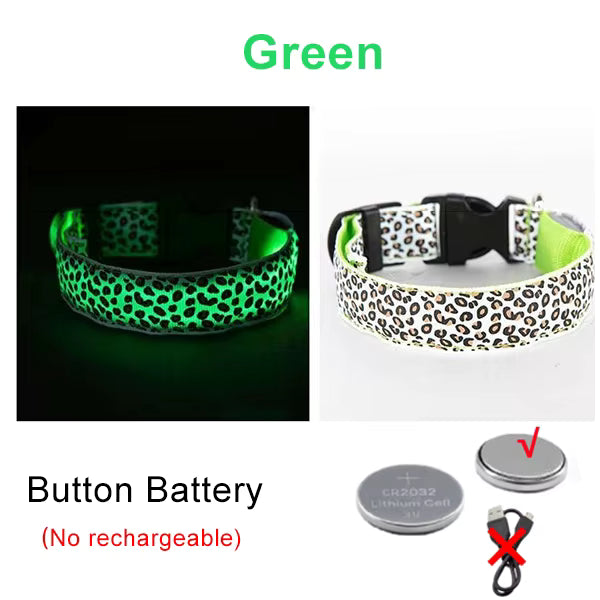 LED Halsband voor Hond & Kat – Verstelbaar, Lichtgevend & Veilig (Batterij of USB-Oplaadbaar)