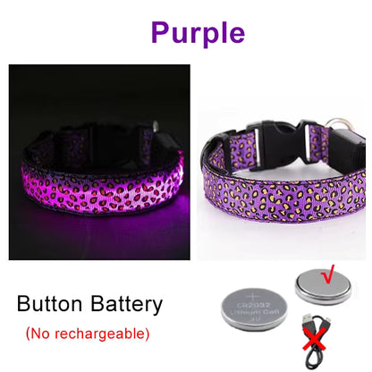 LED Halsband voor Hond & Kat – Verstelbaar, Lichtgevend & Veilig (Batterij of USB-Oplaadbaar)