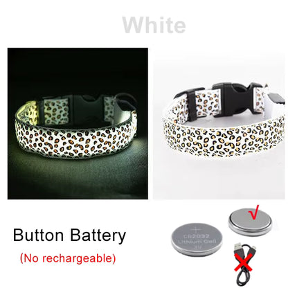 LED Halsband voor Hond & Kat – Verstelbaar, Lichtgevend & Veilig (Batterij of USB-Oplaadbaar)