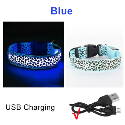 LED Halsband voor Hond & Kat – Verstelbaar, Lichtgevend & Veilig (Batterij of USB-Oplaadbaar)