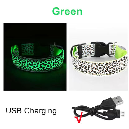 LED Halsband voor Hond & Kat – Verstelbaar, Lichtgevend & Veilig (Batterij of USB-Oplaadbaar)