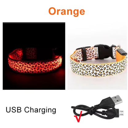 LED Halsband voor Hond & Kat – Verstelbaar, Lichtgevend & Veilig (Batterij of USB-Oplaadbaar)