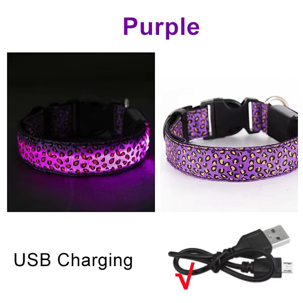 LED Halsband voor Hond & Kat – Verstelbaar, Lichtgevend & Veilig (Batterij of USB-Oplaadbaar)