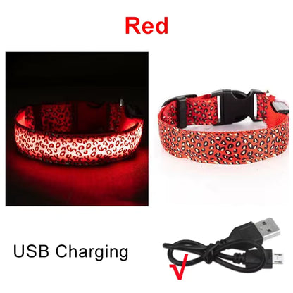 LED Halsband voor Hond & Kat – Verstelbaar, Lichtgevend & Veilig (Batterij of USB-Oplaadbaar)