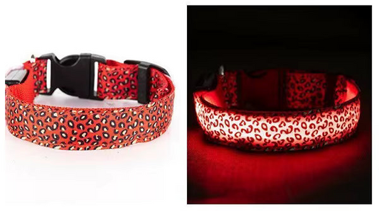 LED Halsband voor Hond & Kat – Batterij of USB-Oplaadbaar