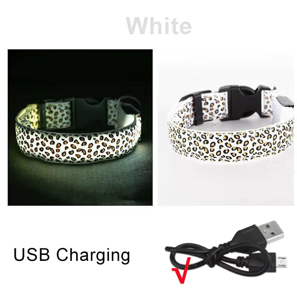 LED Halsband voor Hond & Kat – Verstelbaar, Lichtgevend & Veilig (Batterij of USB-Oplaadbaar)