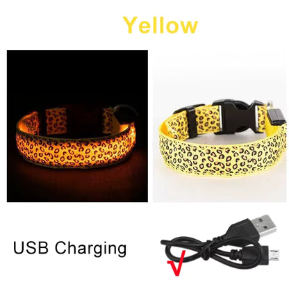 LED Halsband voor Hond & Kat – Verstelbaar, Lichtgevend & Veilig (Batterij of USB-Oplaadbaar)